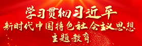 學(xué)習(xí)貫徹習(xí)近平新時(shí)代中國(guó)特色社會(huì)主義思想主題教育